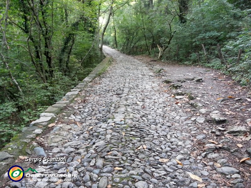 07 - Percorso nel bosco.jpg